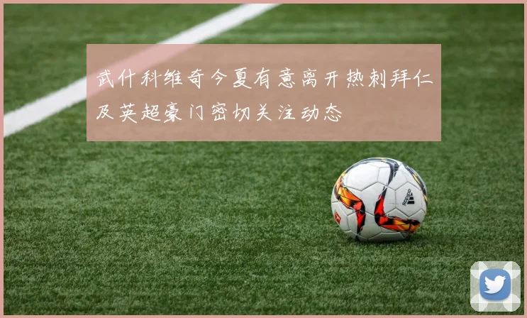 武什科维奇今夏有意离开热刺拜仁及英超豪门密切关注动态