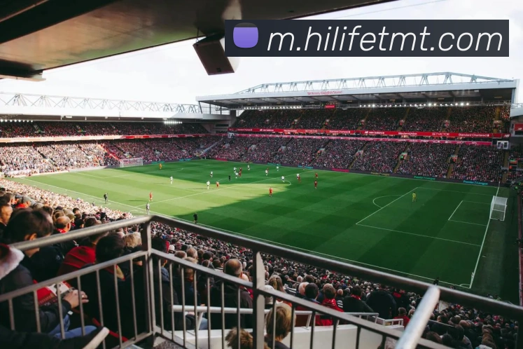 电竞直播专区